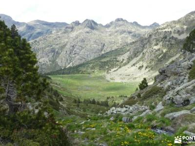 País de los Pirineos- Andorra; cañon del rio guadalix cañon del guadalix bosque animado de oma cañon